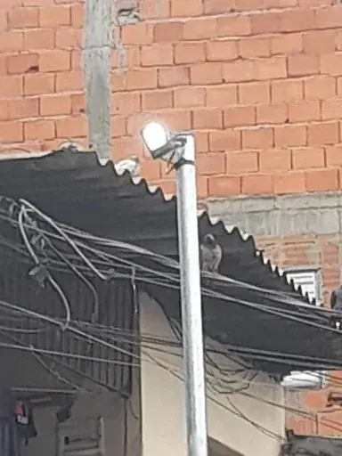 Projeto e Construção de UVR Pirituba - Instalações - registro 29